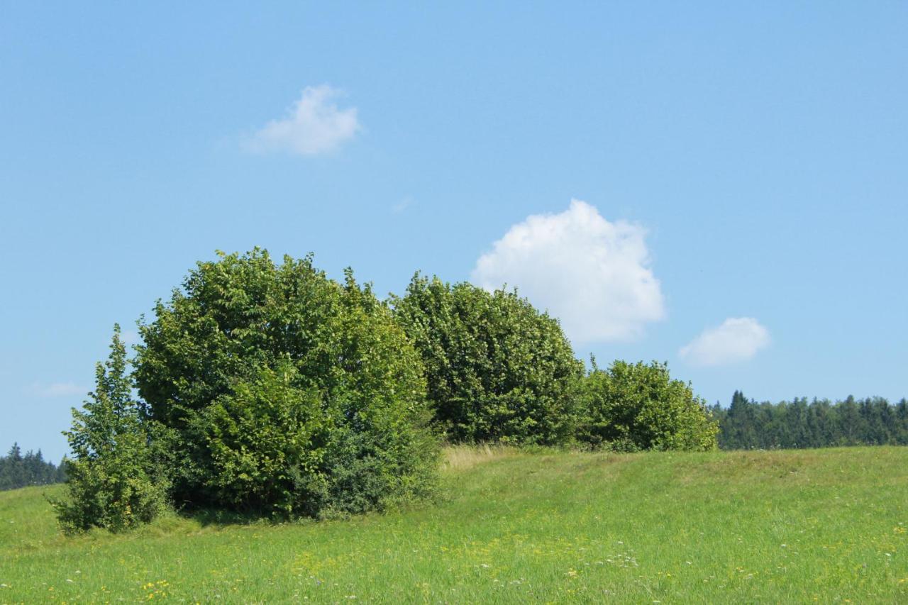 Nerro Apartment Prezid Bagian luar foto